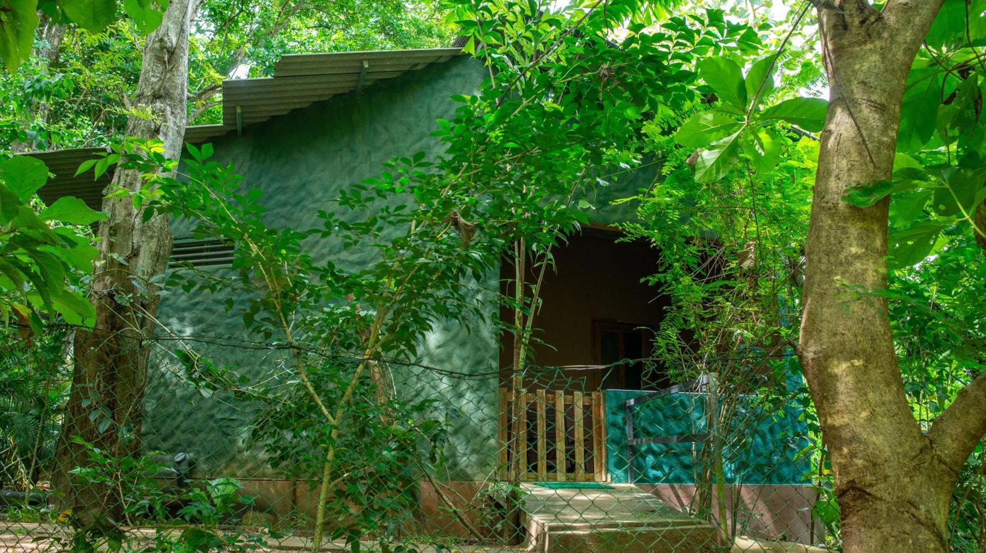 Silent Bungalow Udawalawe Kültér fotó