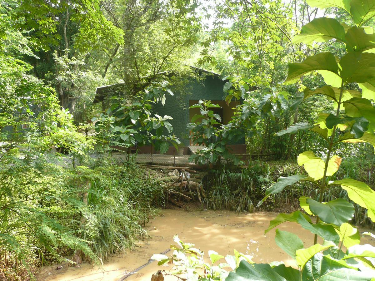 Silent Bungalow Udawalawe Kültér fotó