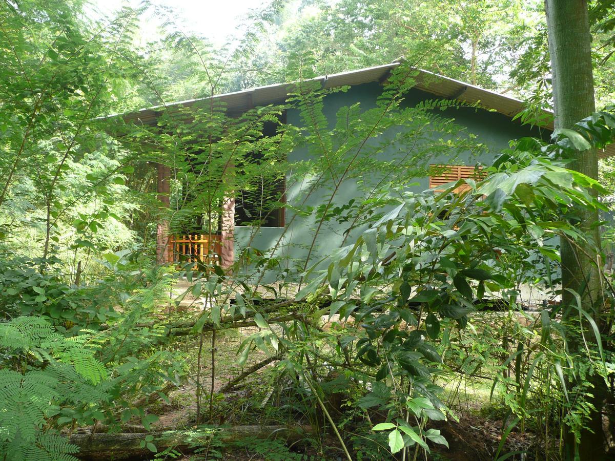 Silent Bungalow Udawalawe Kültér fotó