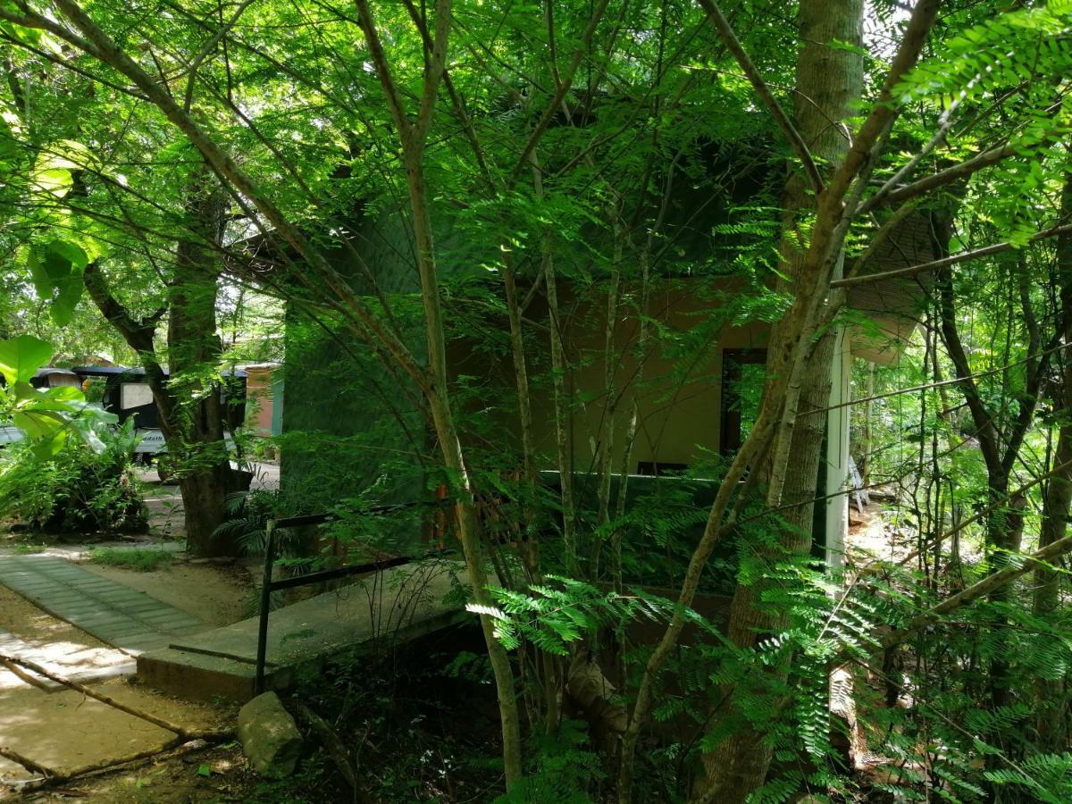 Silent Bungalow Udawalawe Kültér fotó